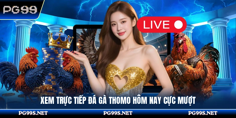 Xem trực tiếp đá gà Thomo hôm nay cực mượt 